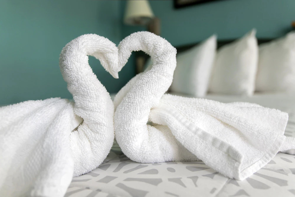 City Centre Motel by OYO