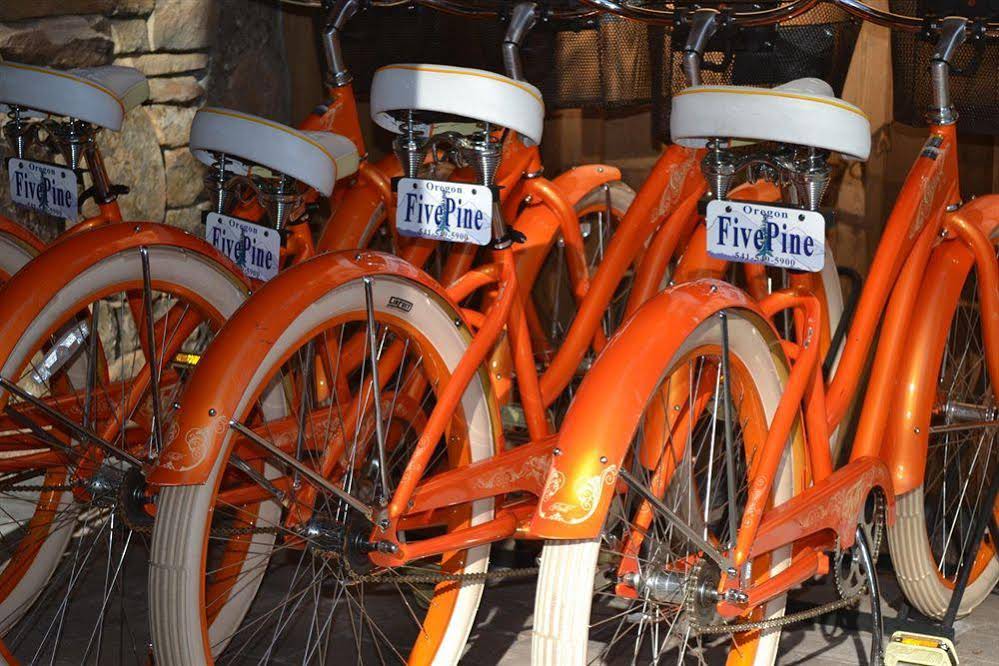 FivePine Lodge & Cabins