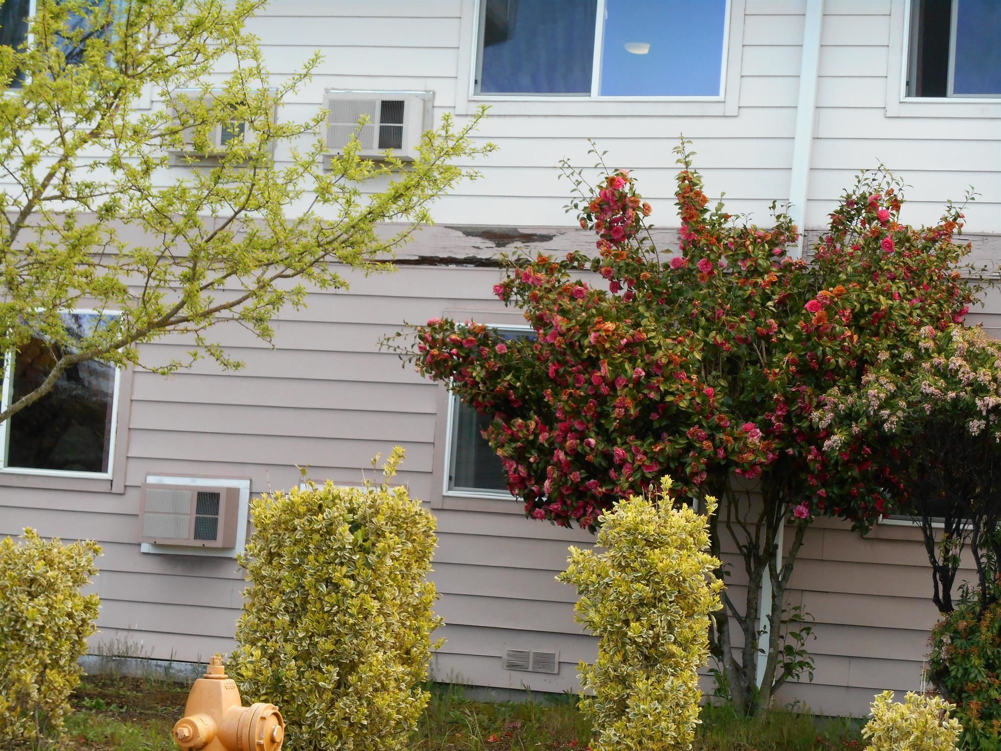 GuestHouse Inn & Suites Eugene Springfield