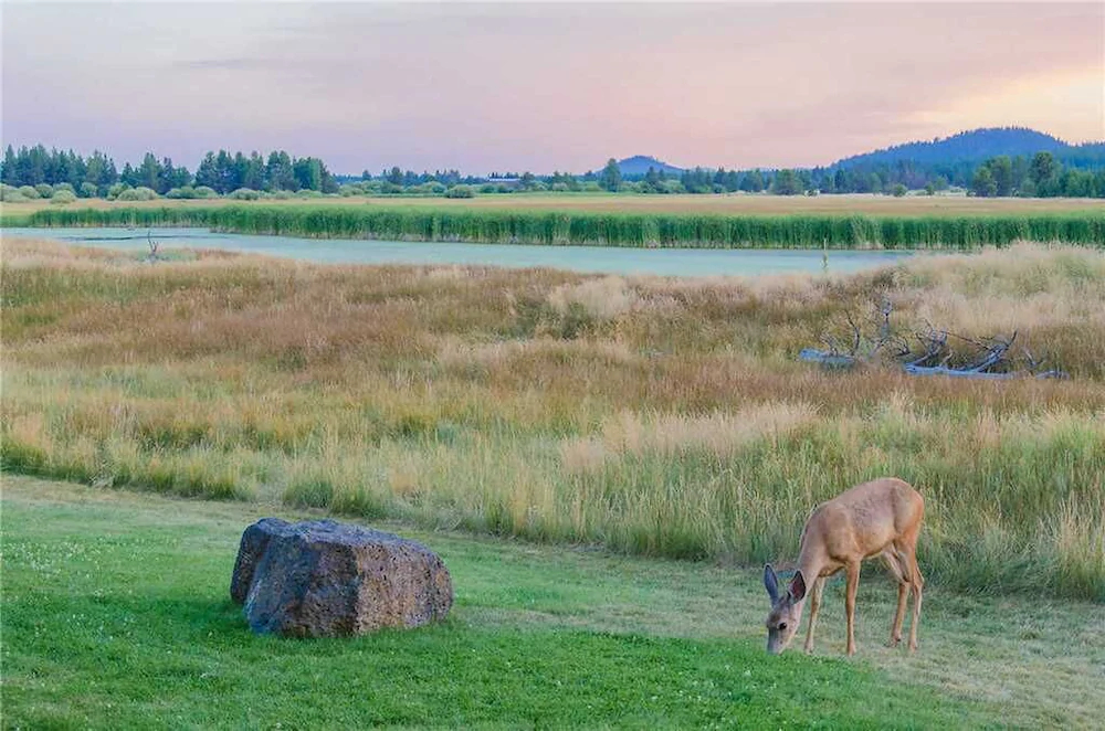 Sunriver Resort Vacation Rentals
