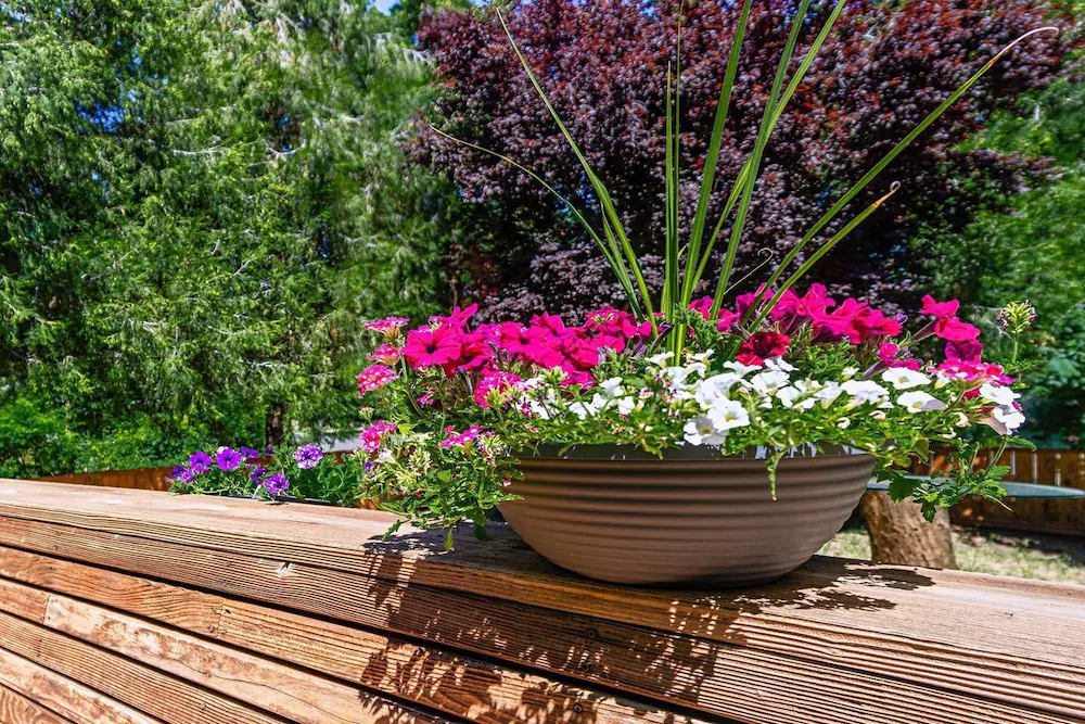 Madi's Place Guest House