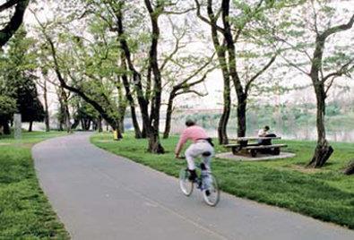 Best Western Plus Northwind Inn & Suites