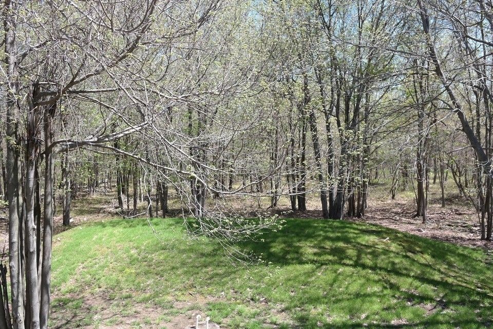 Rentals at Brier Crest Woods