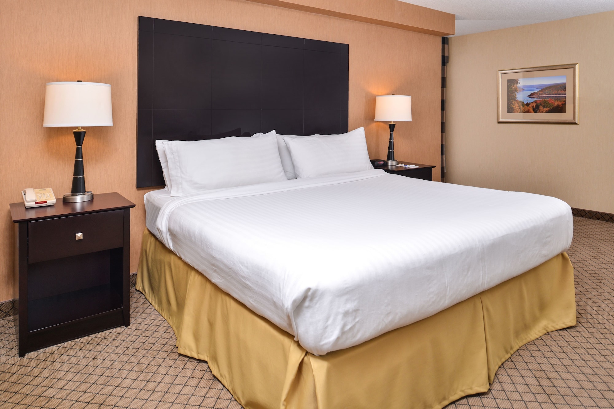 Holiday Inn Express Lewisburg/New Columbia