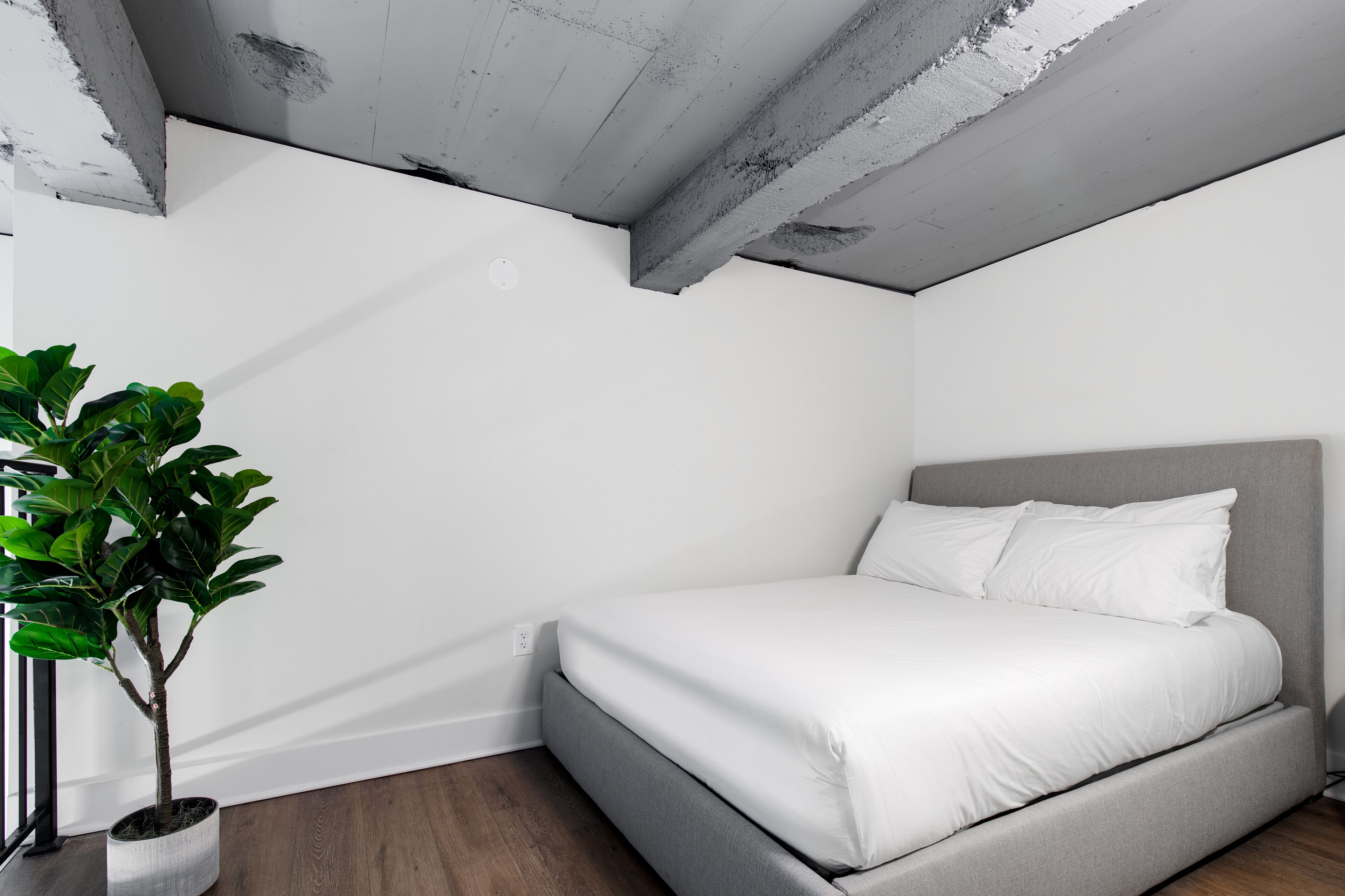 Mint House at The Ledger – Philadelphia