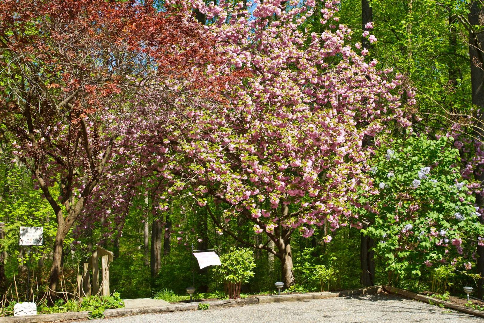 Pilgrim's Rest Bed And Breakfast