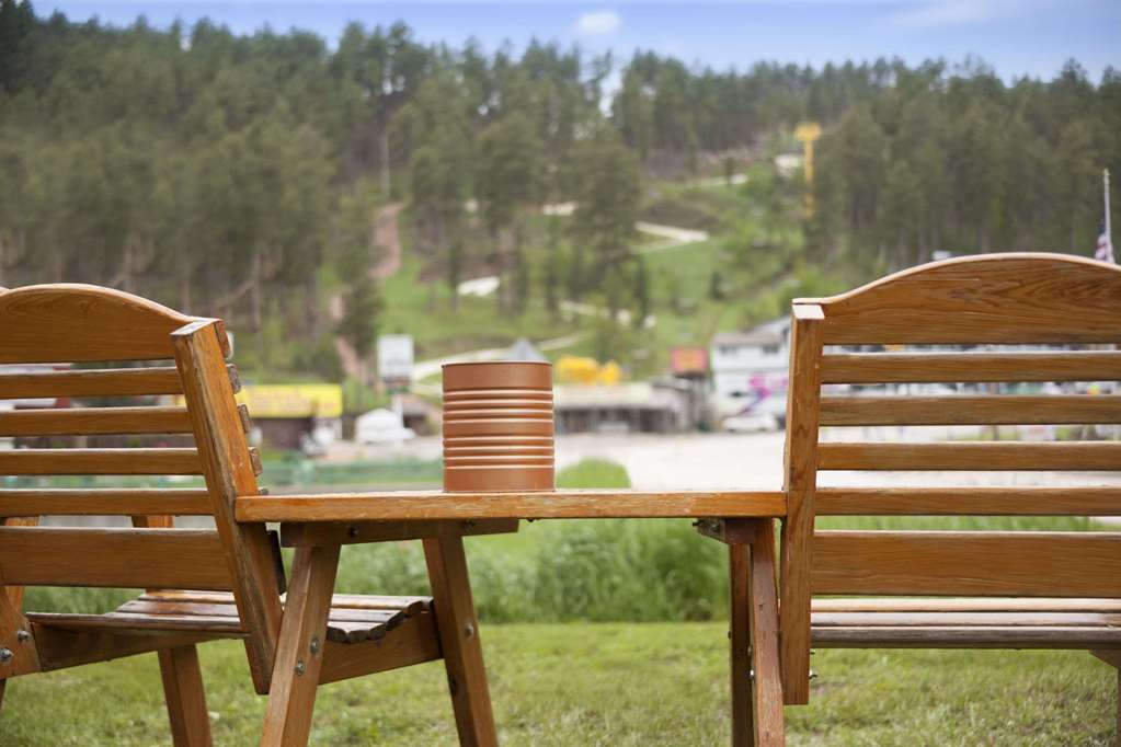 Magnuson Grand Rushmore View