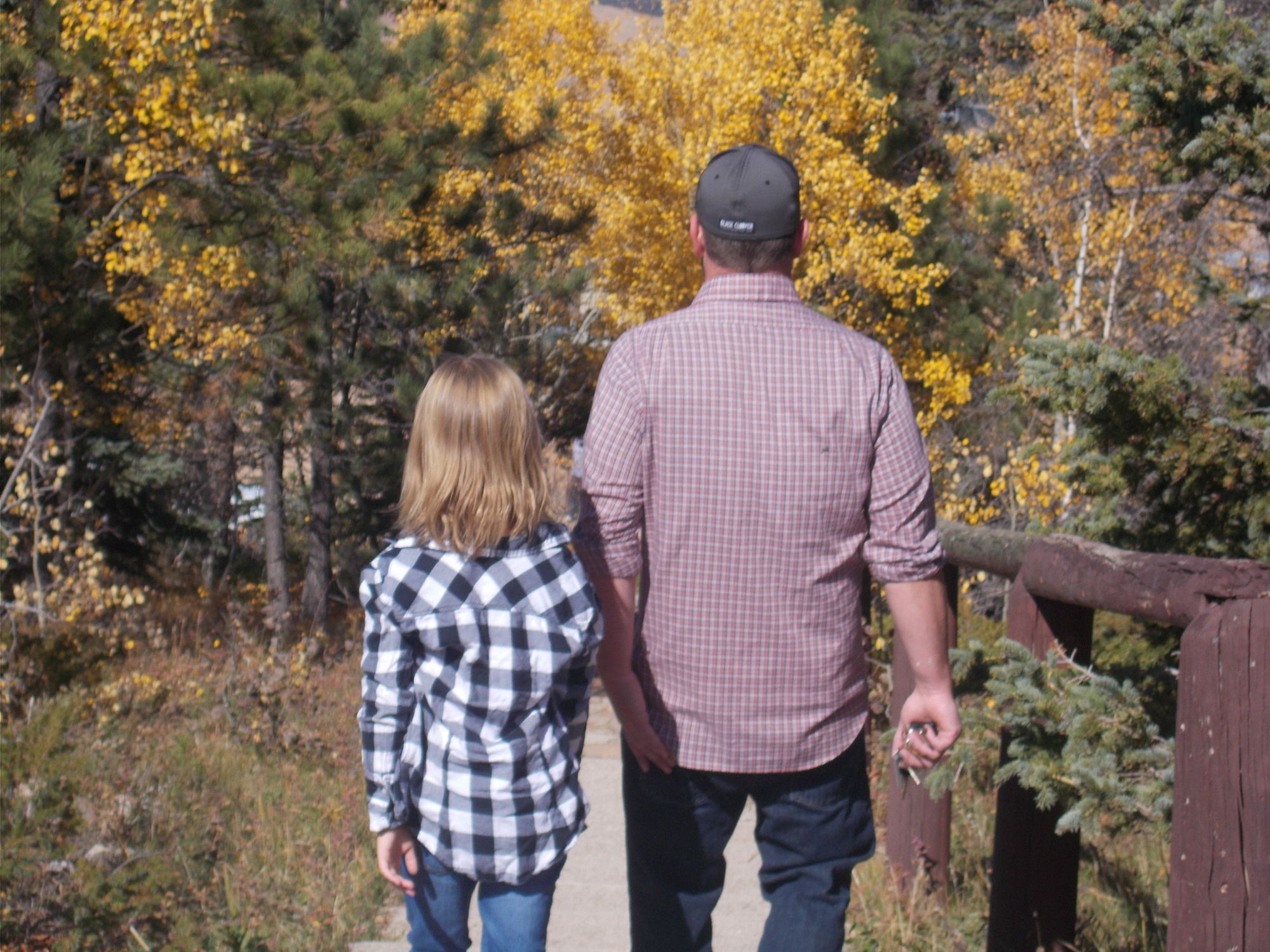 Terry Peak Lodge
