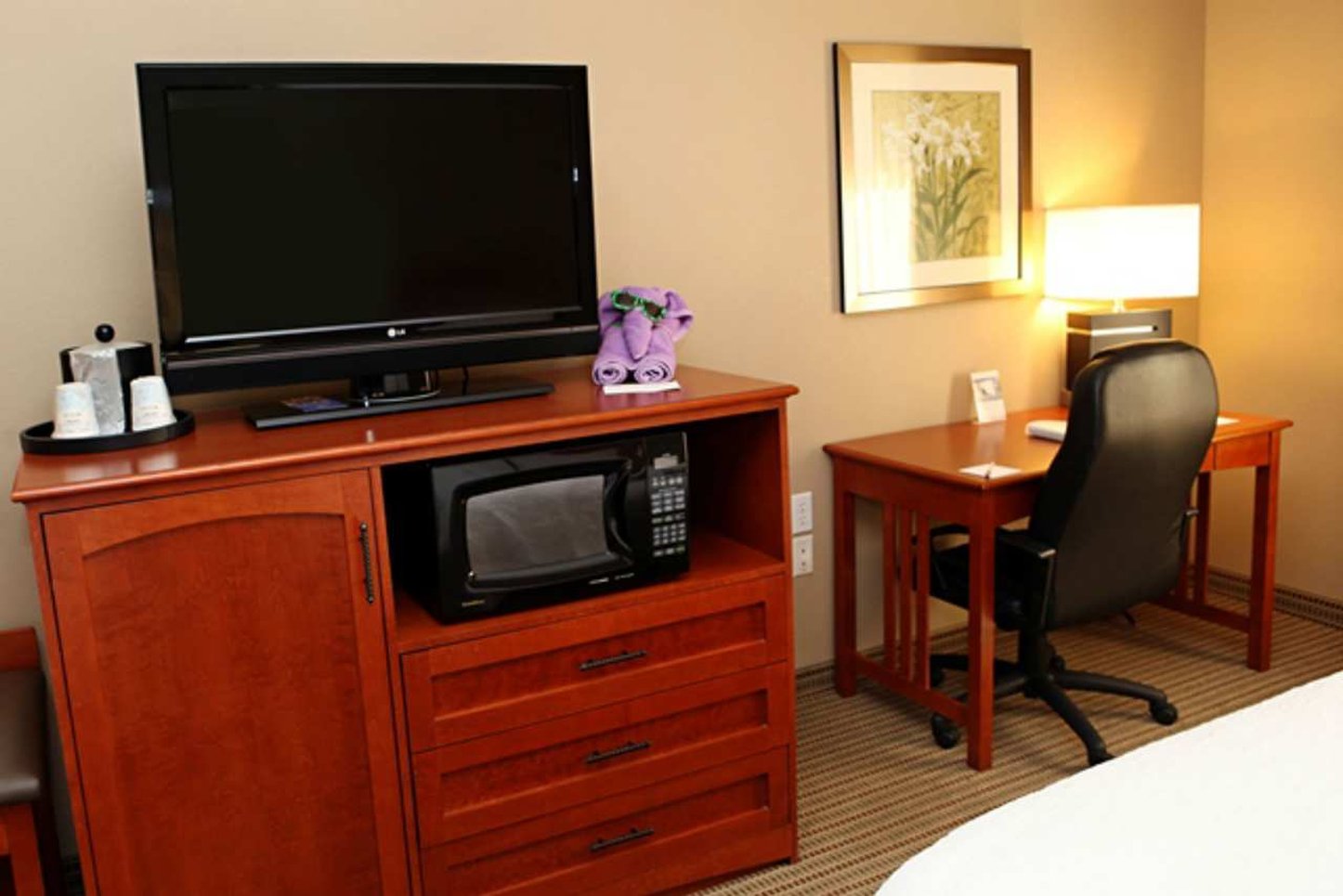 Hampton Inn Mitchell