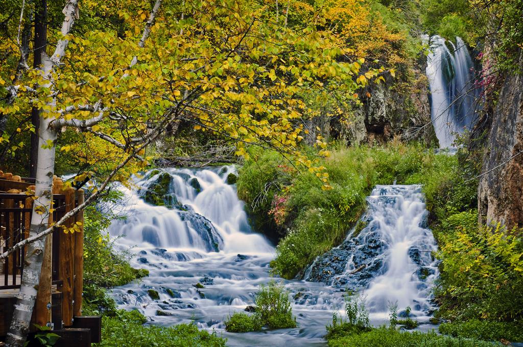 Best Western Black Hills Lodge