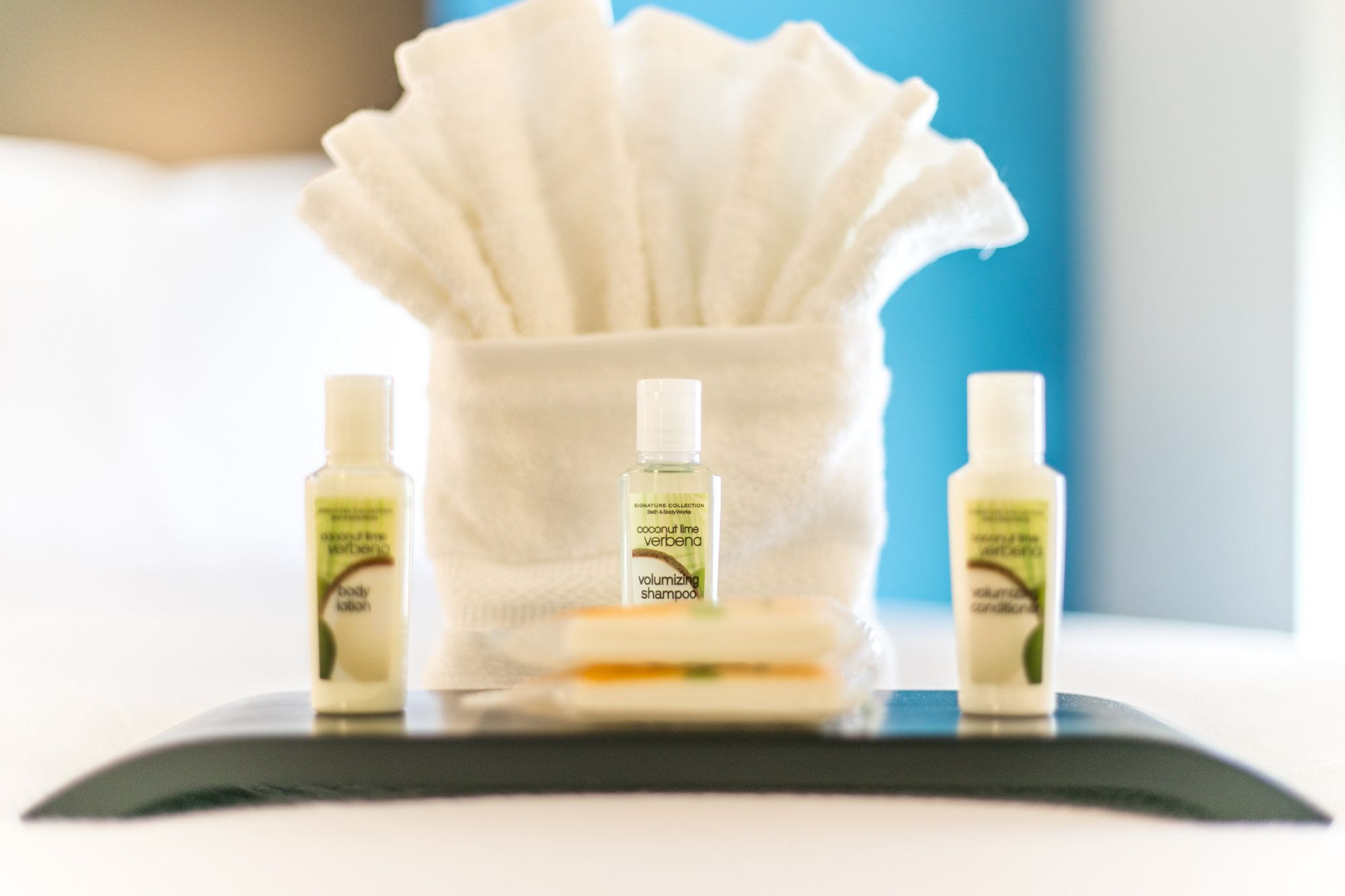 Holiday Inn Hotel & Suites Chattanooga Downtown