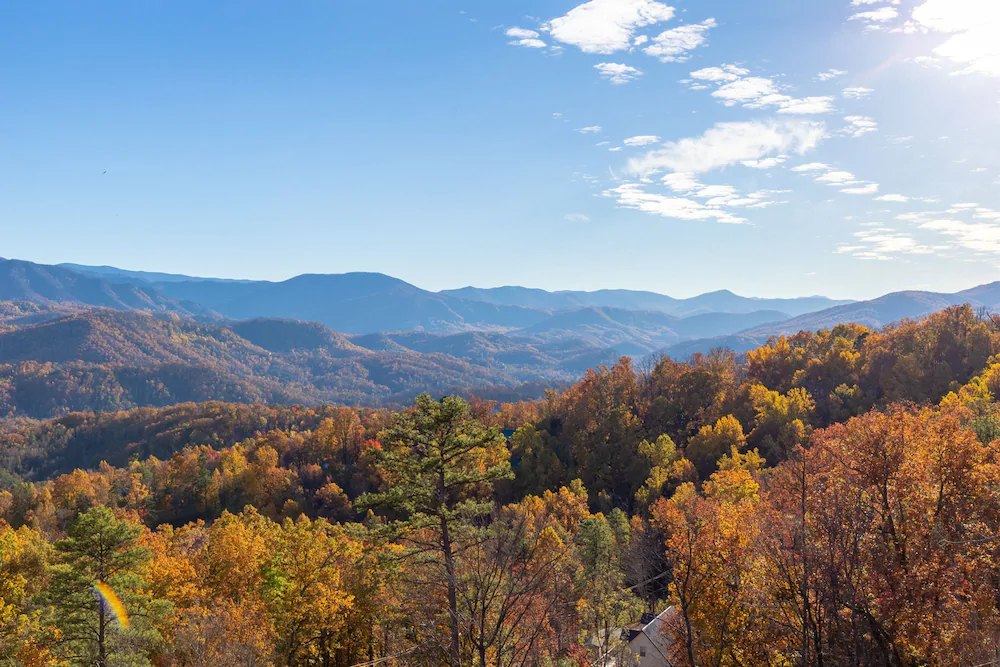 A Garden Blessing Cabin