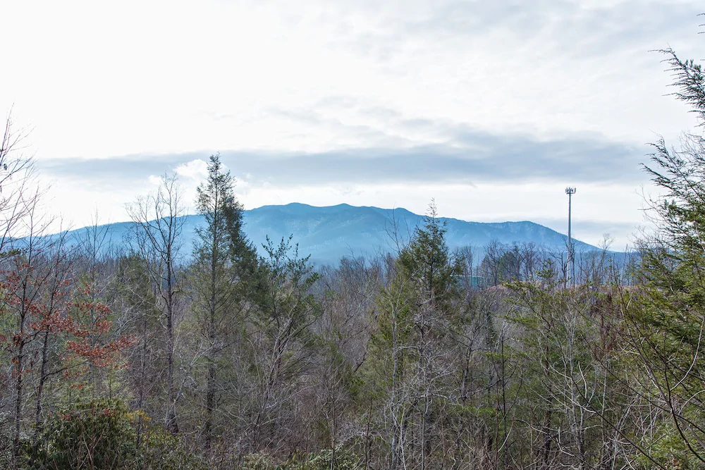 Annies Smoky View