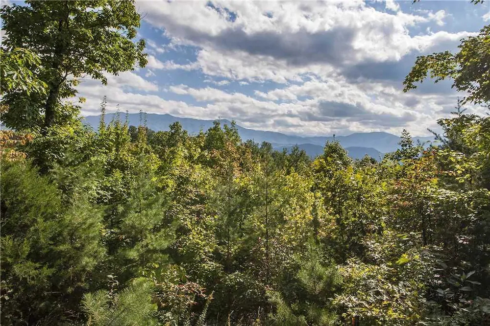 Appalachian Splendor