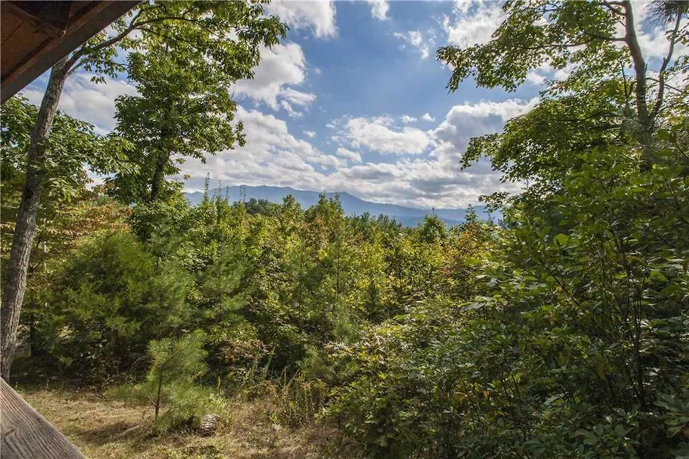 Appalachian Splendor