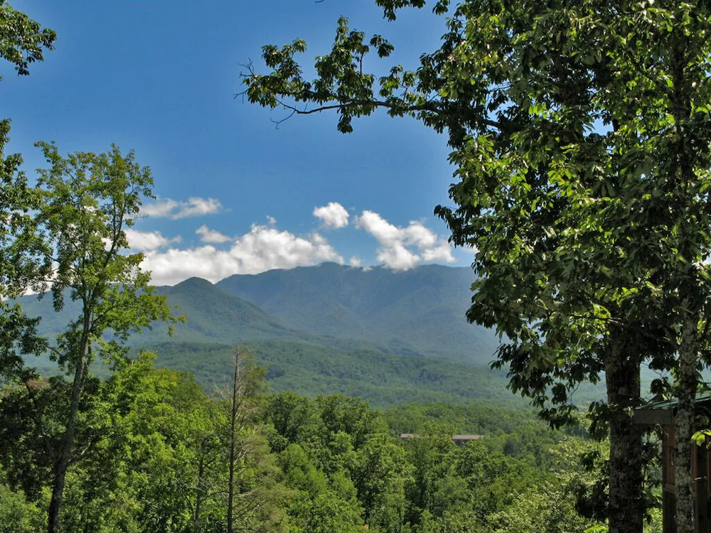 Artistic Mountain Home