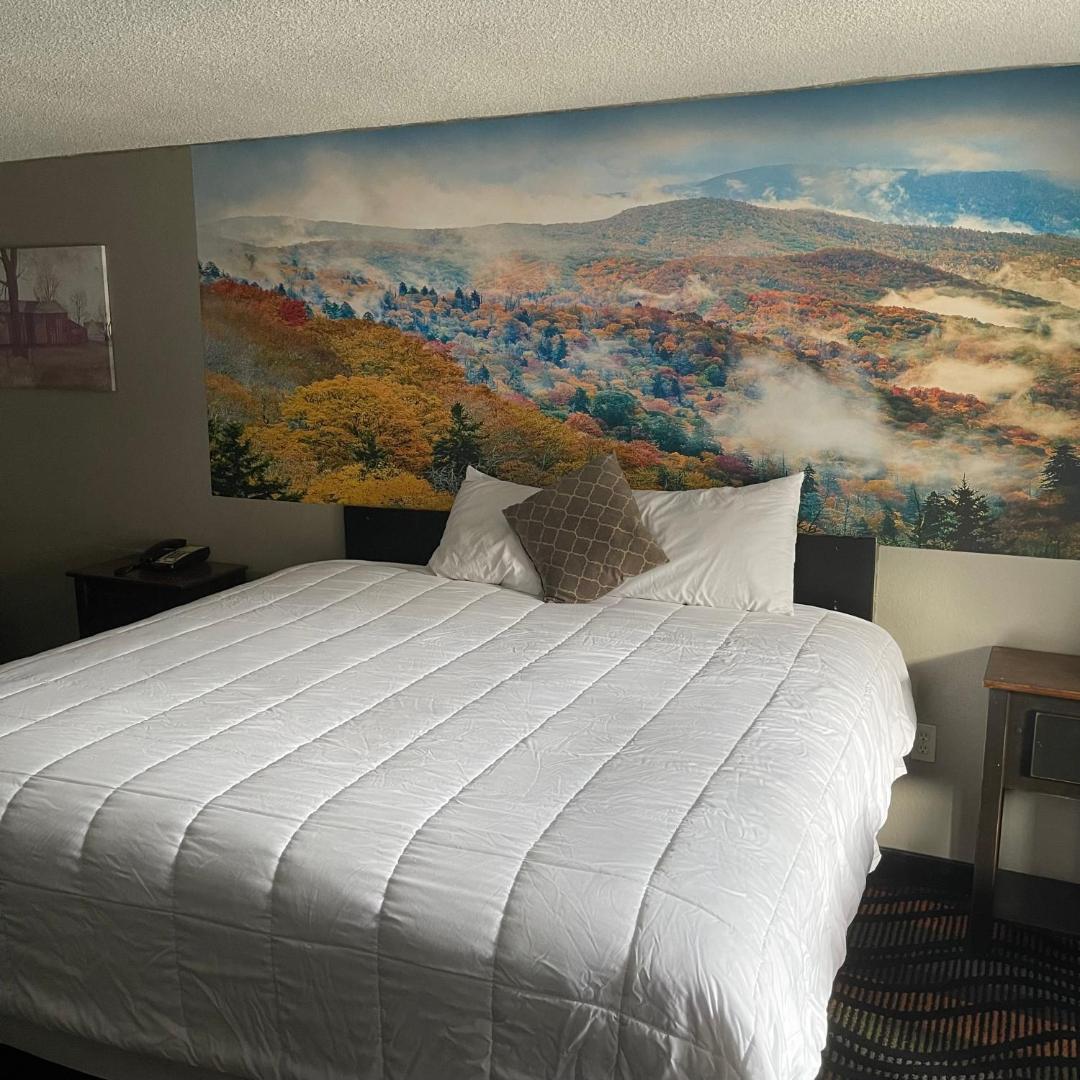 Country Town N' Suites