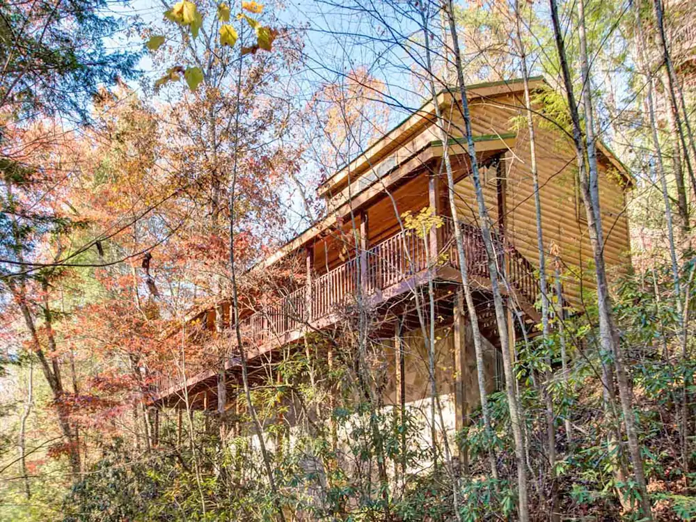 Gentle Ben’s Den