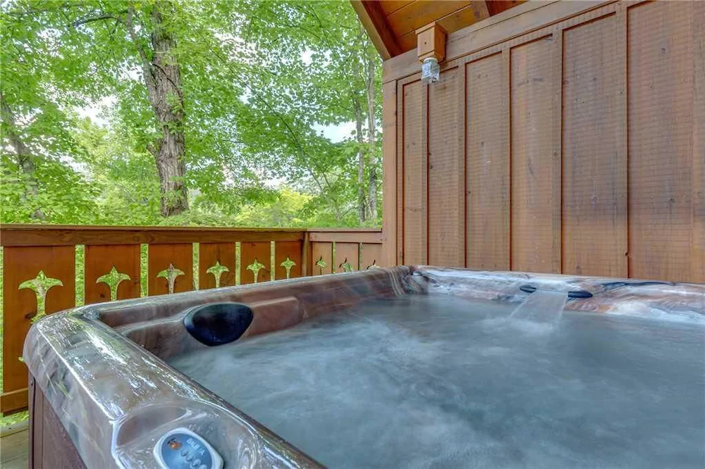 Moonshine Run Cabin