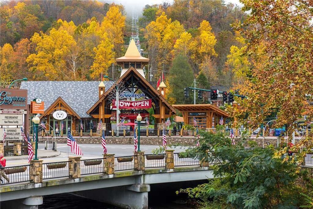 Moose Crossing