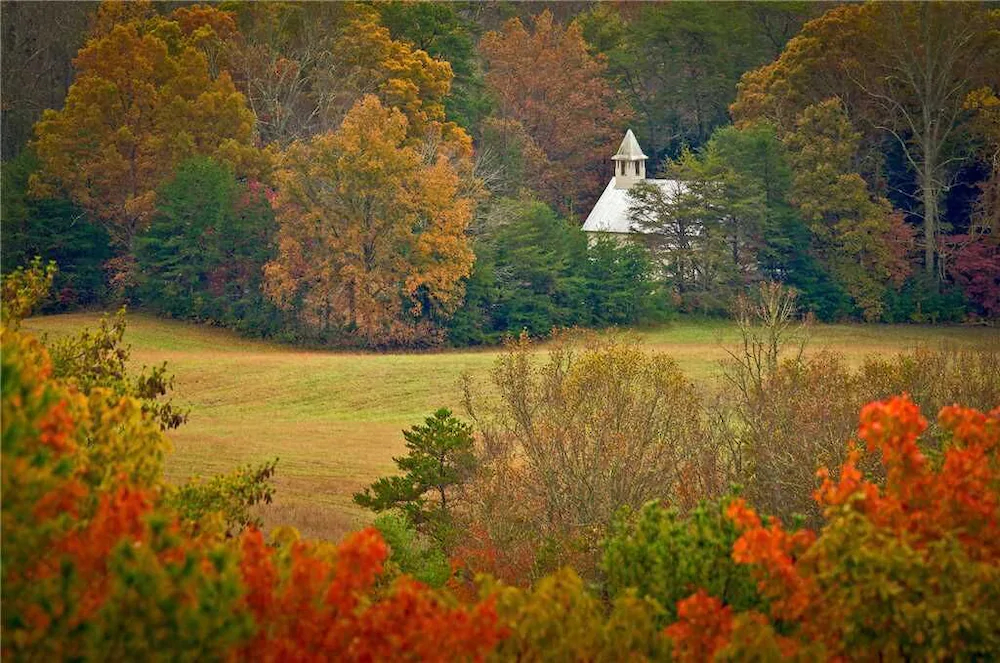 Rocky Top Lodge