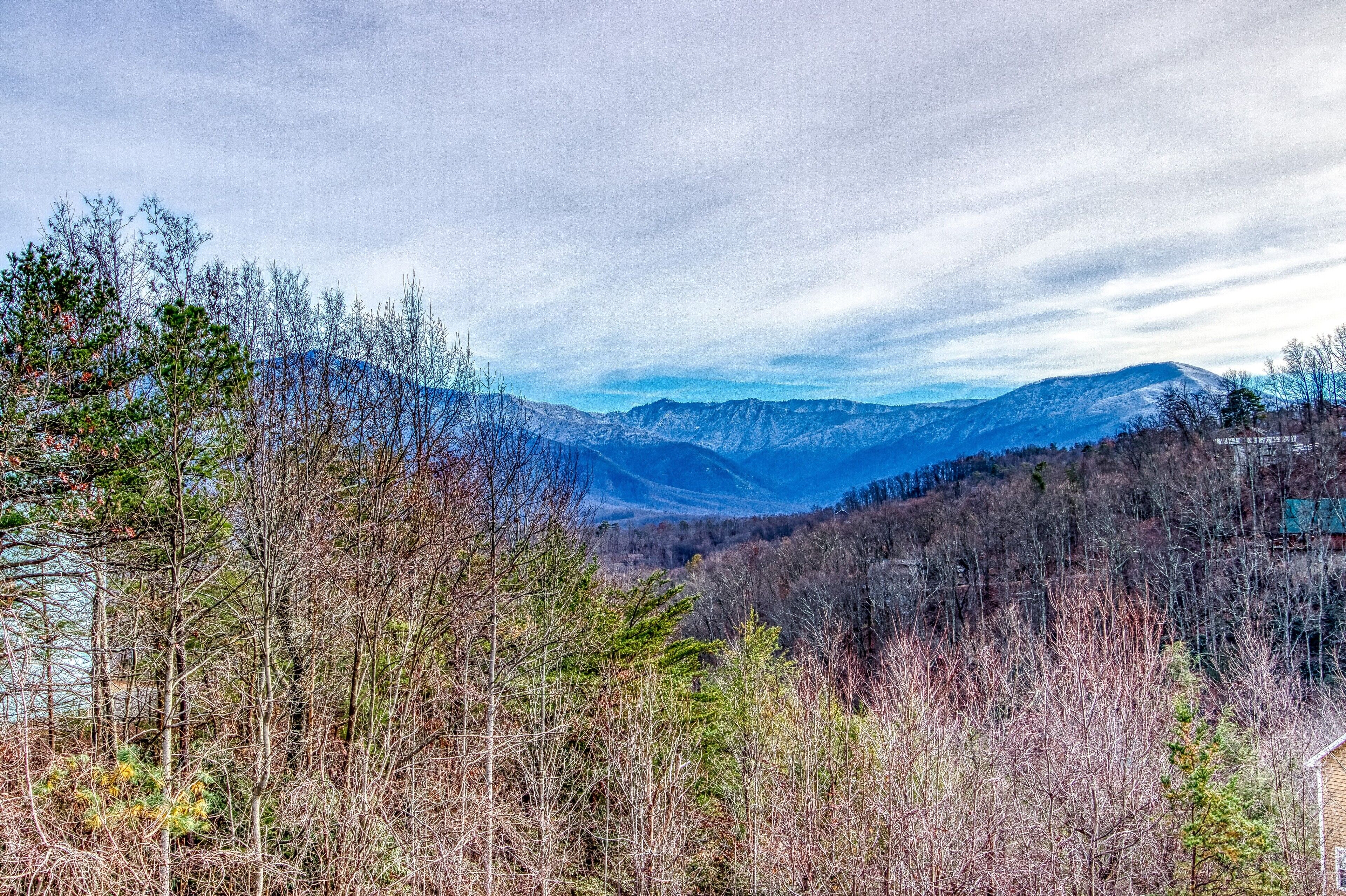 Tree Tops by HoneyBear Cabins