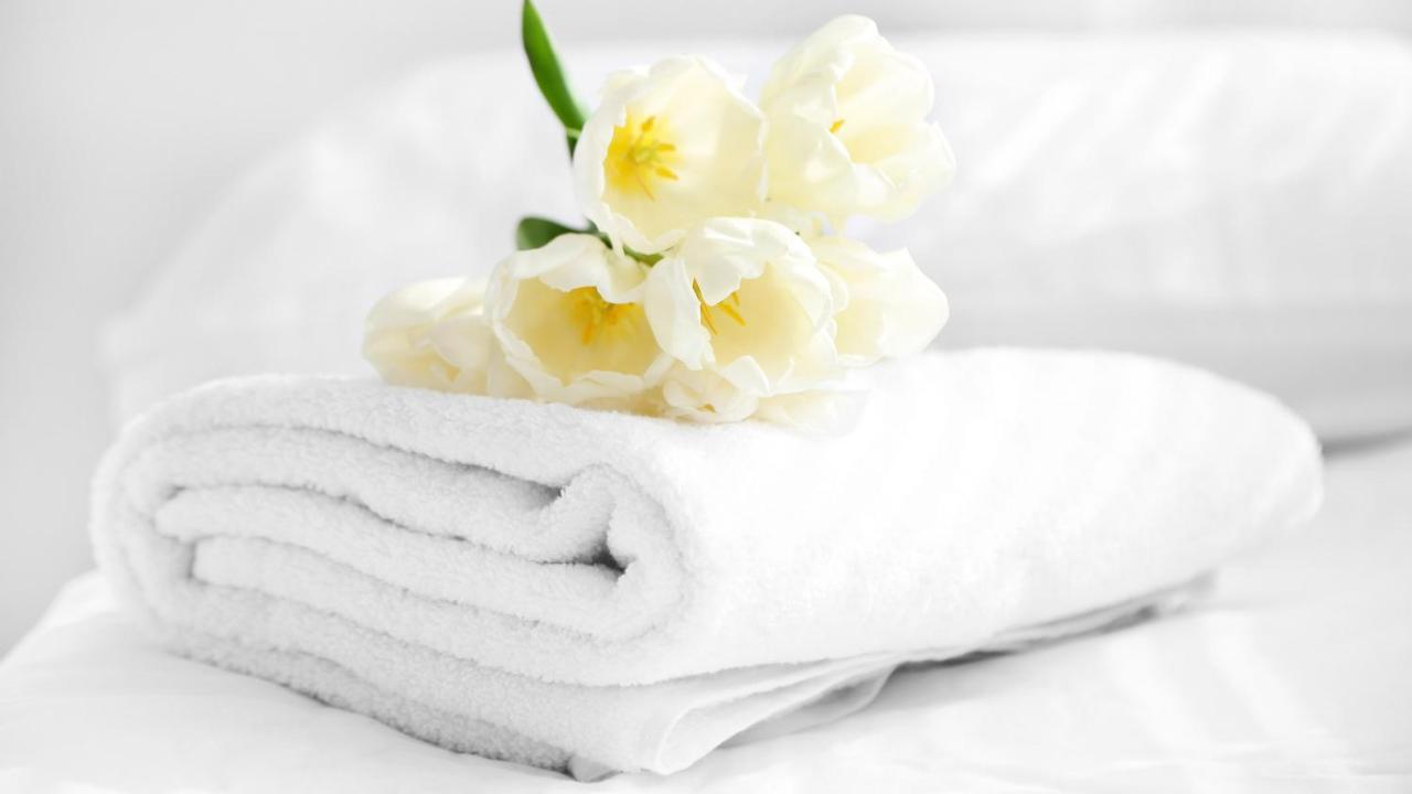 Executive Inn & Suites