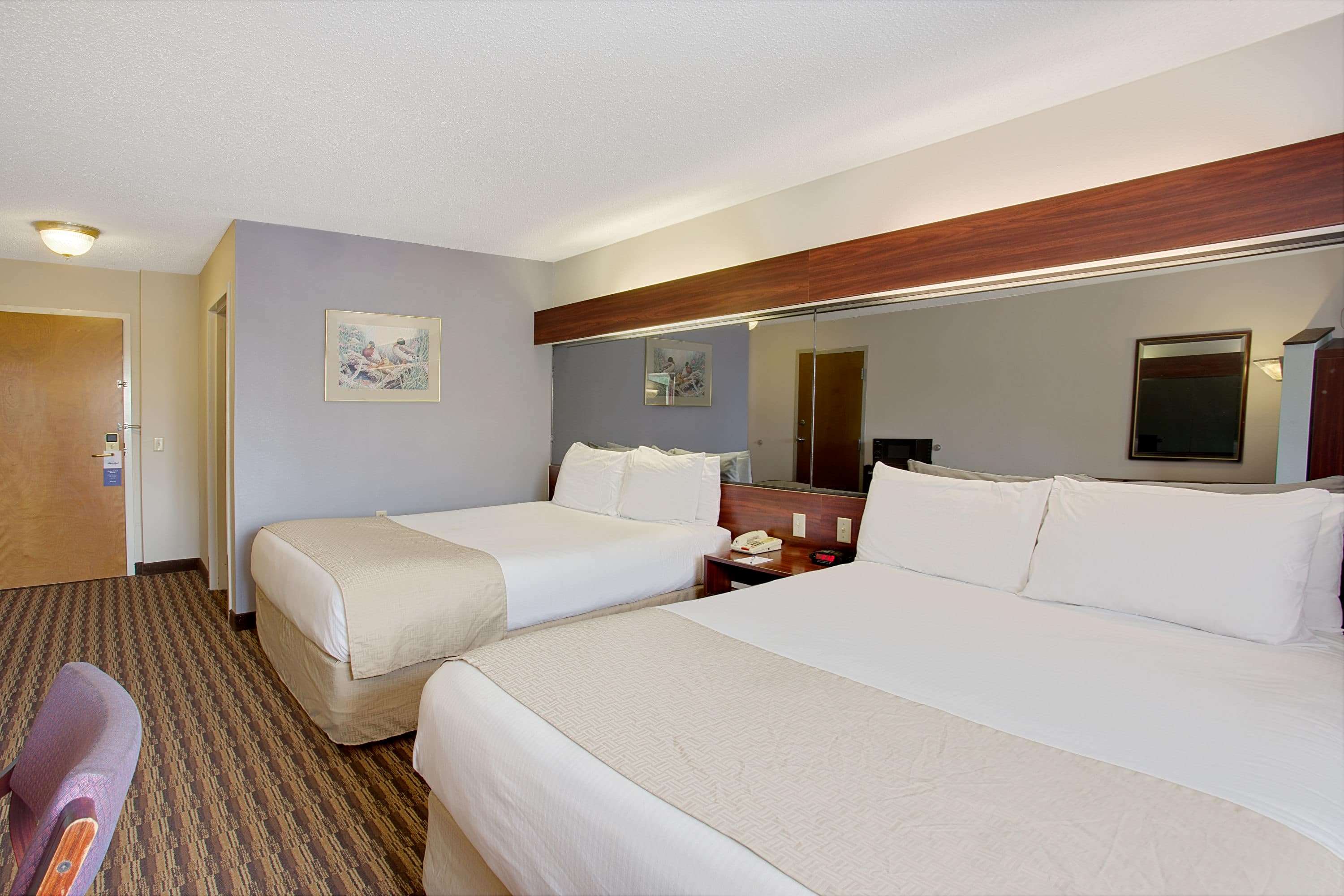 Microtel Inn & Suites by Wyndham Murfreesboro