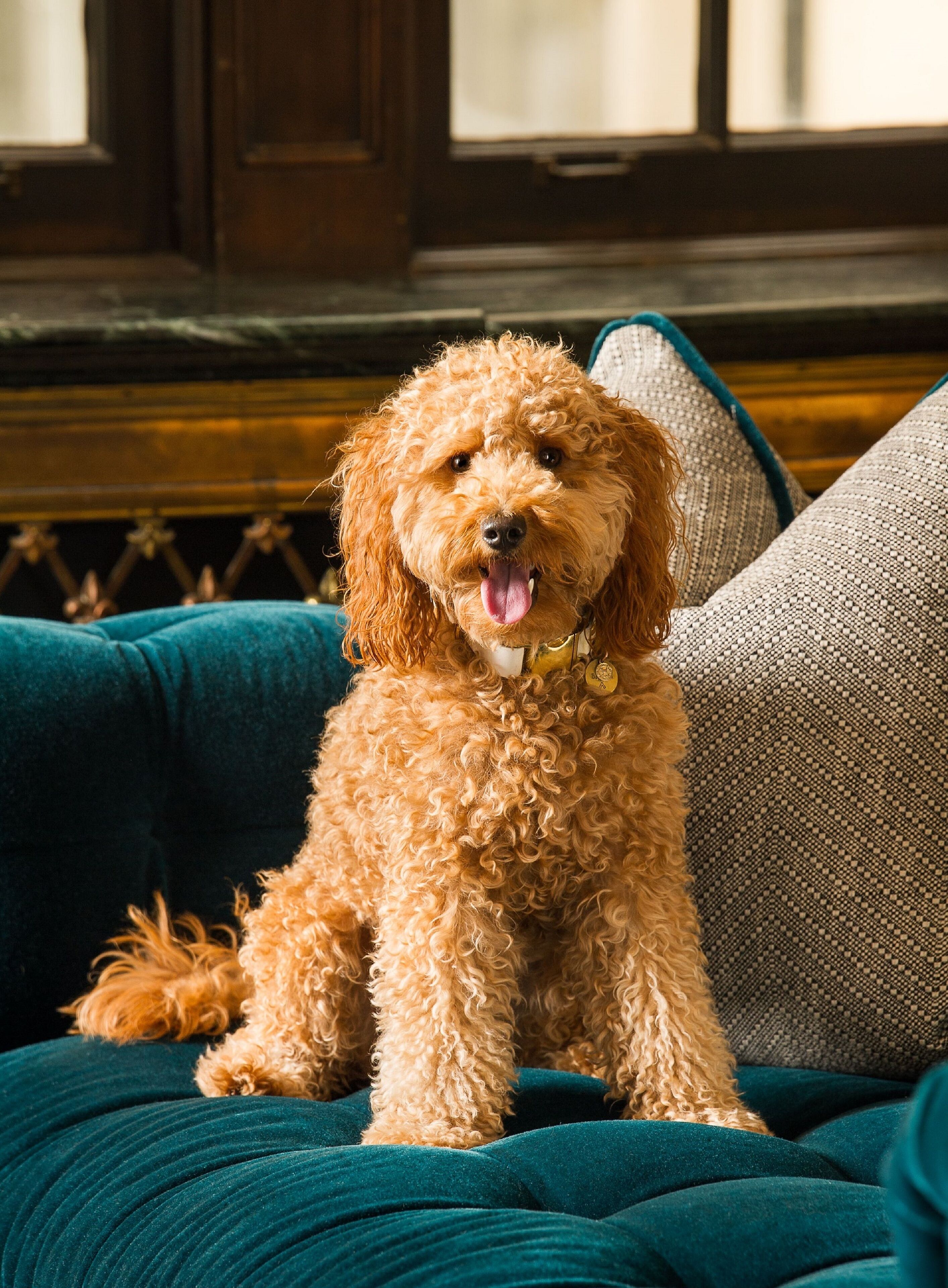 Noelle, Nashville, a Tribute Portfolio Hotel