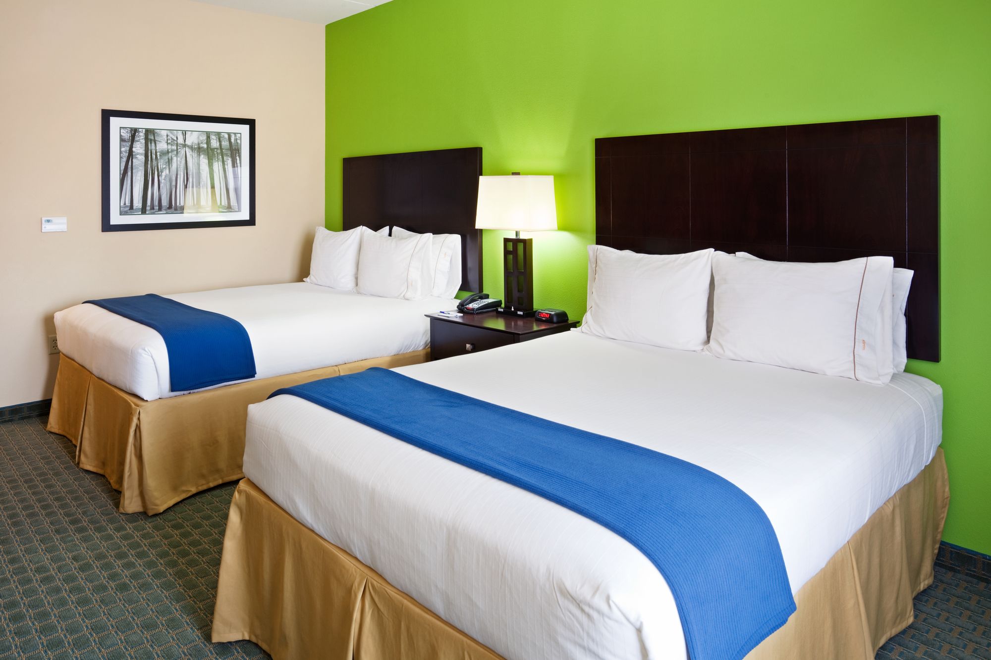 Holiday Inn Express Hotel & Suites Newport South