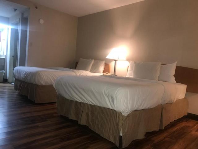 Bear Mount Inn & Suites