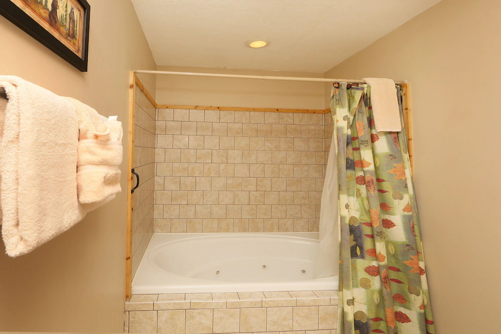 Mountain Shadow Lodge