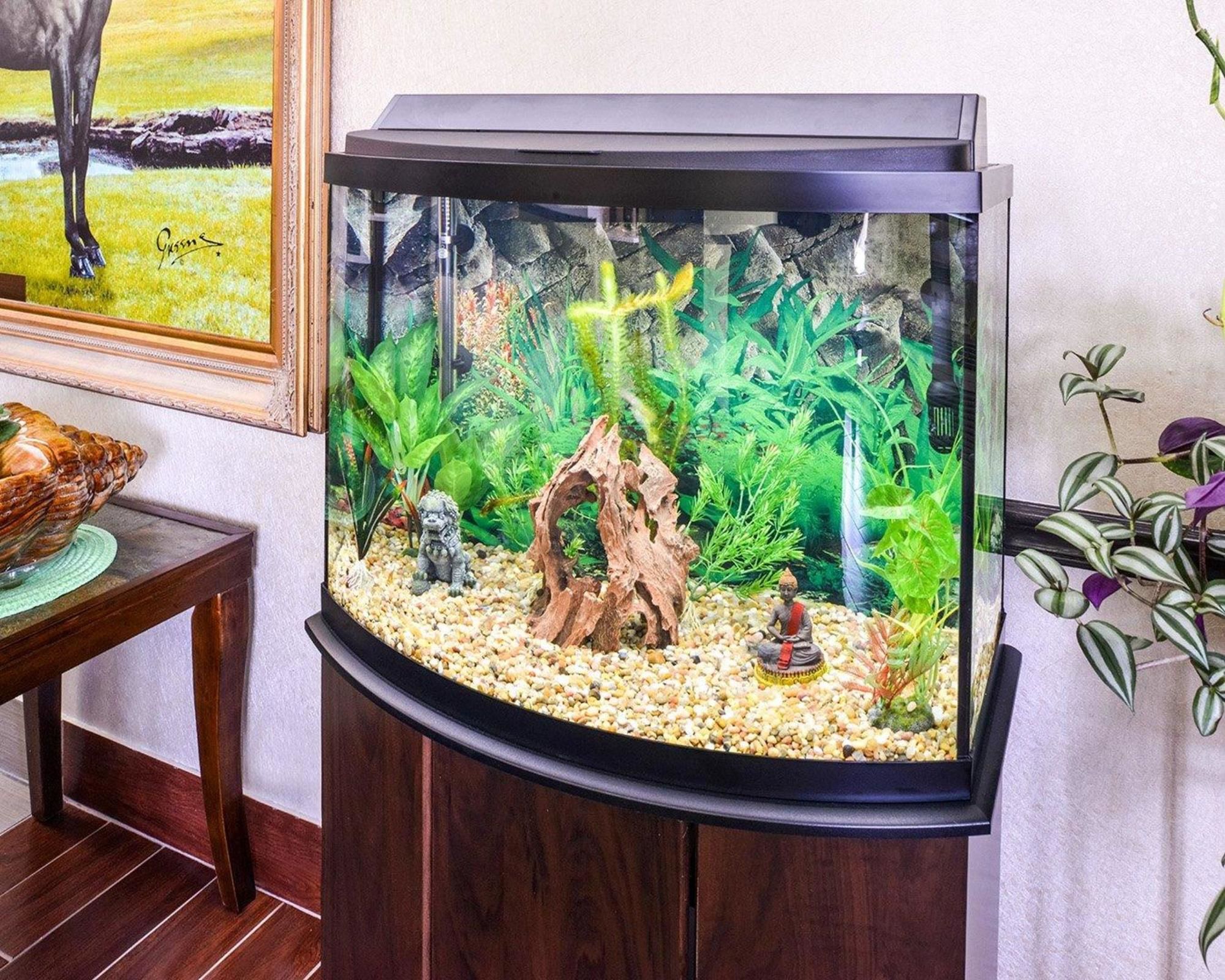 Econo Lodge Inn & Suites