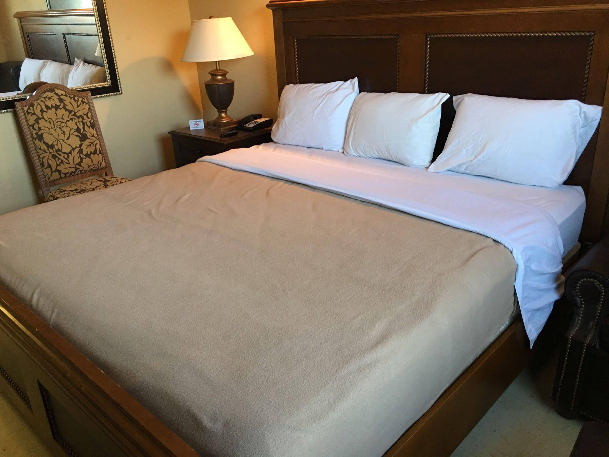 Reddy Inn and Suites