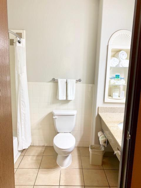 Holiday Inn Express Hotel & Suites Alice
