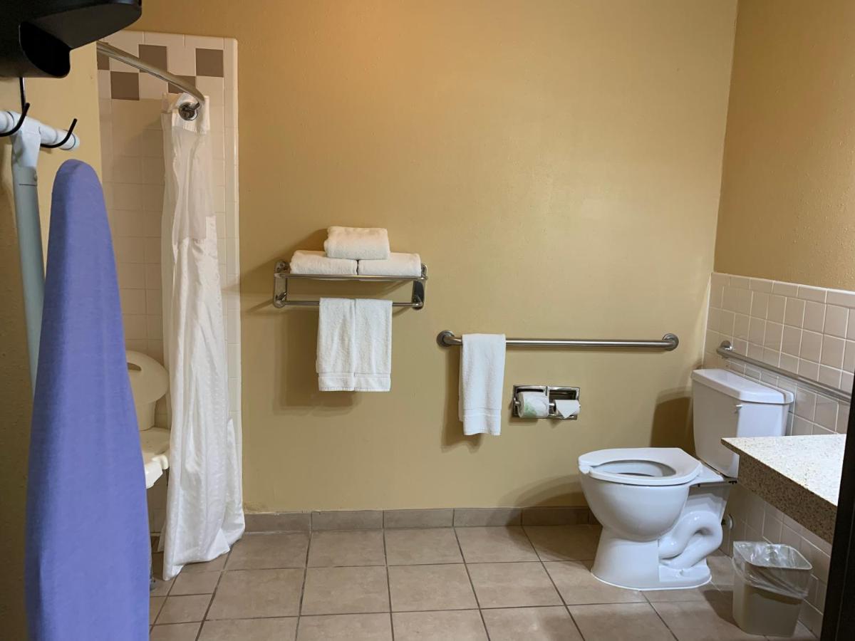 Holiday Inn Express Hotel & Suites Alice
