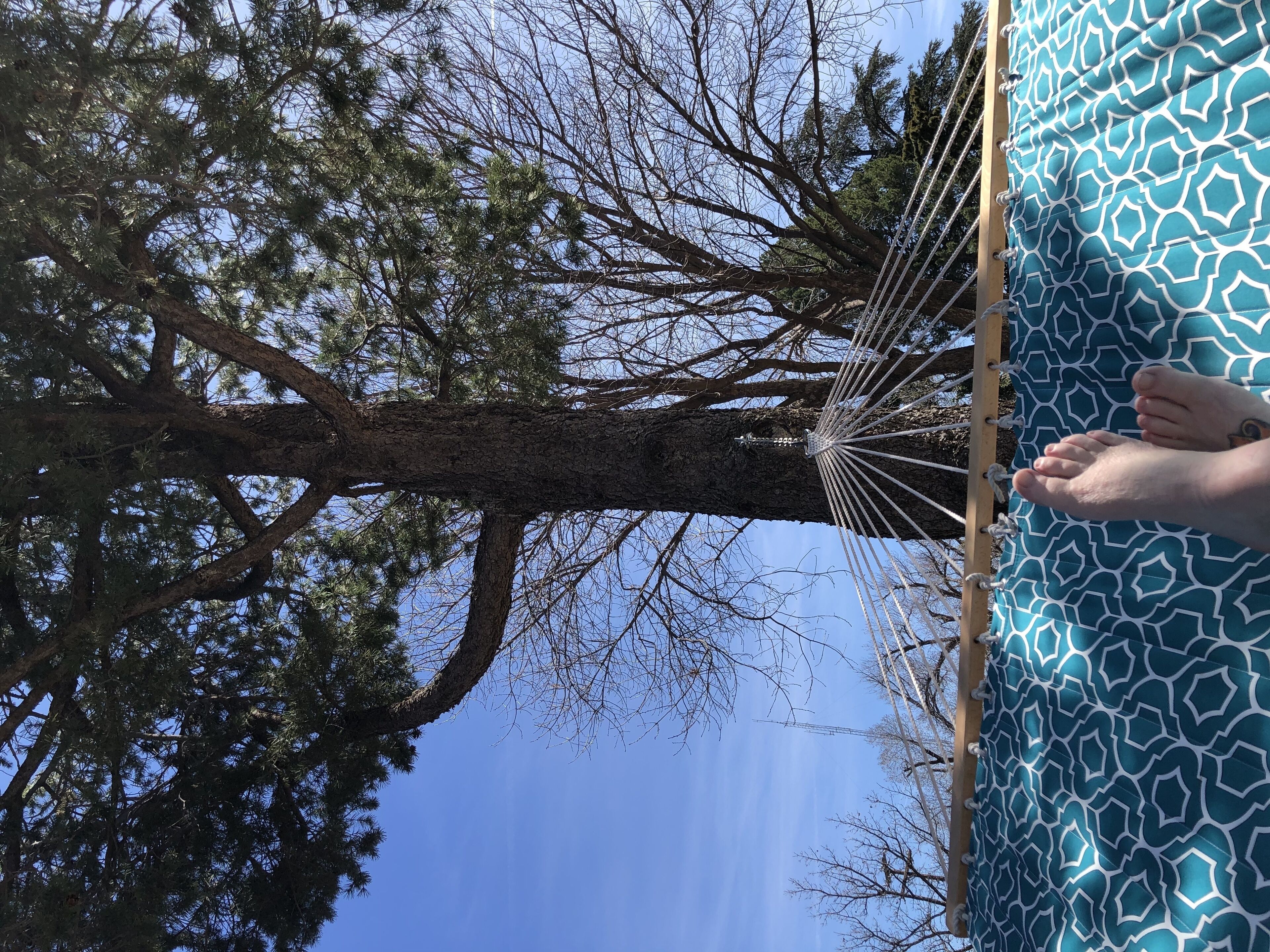 Alpine Bed and Breakfast