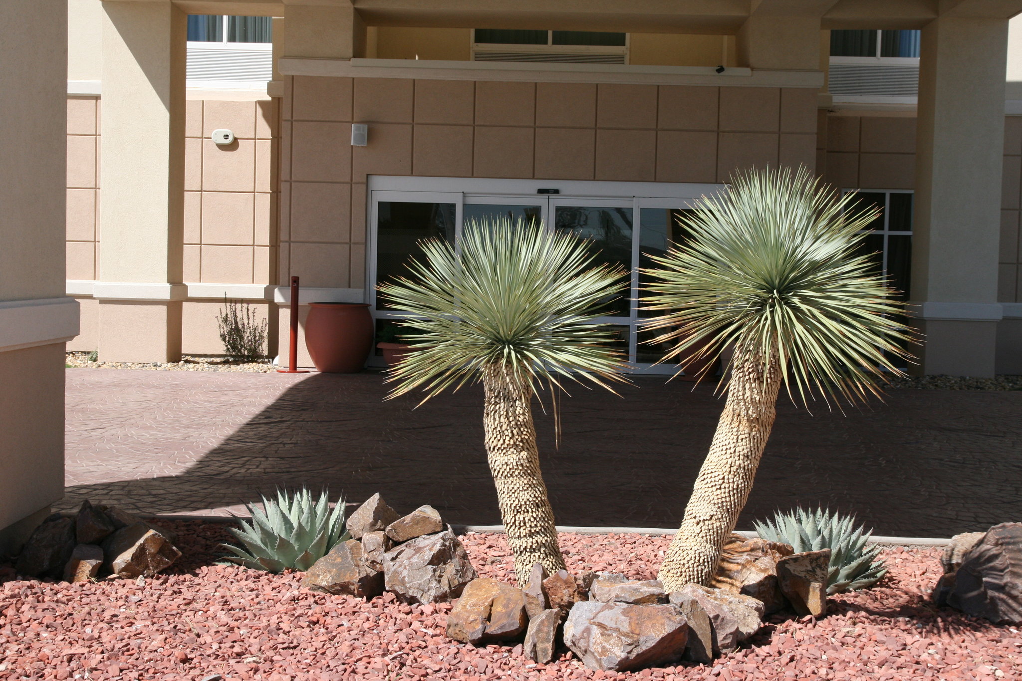Hampton Inn Alpine