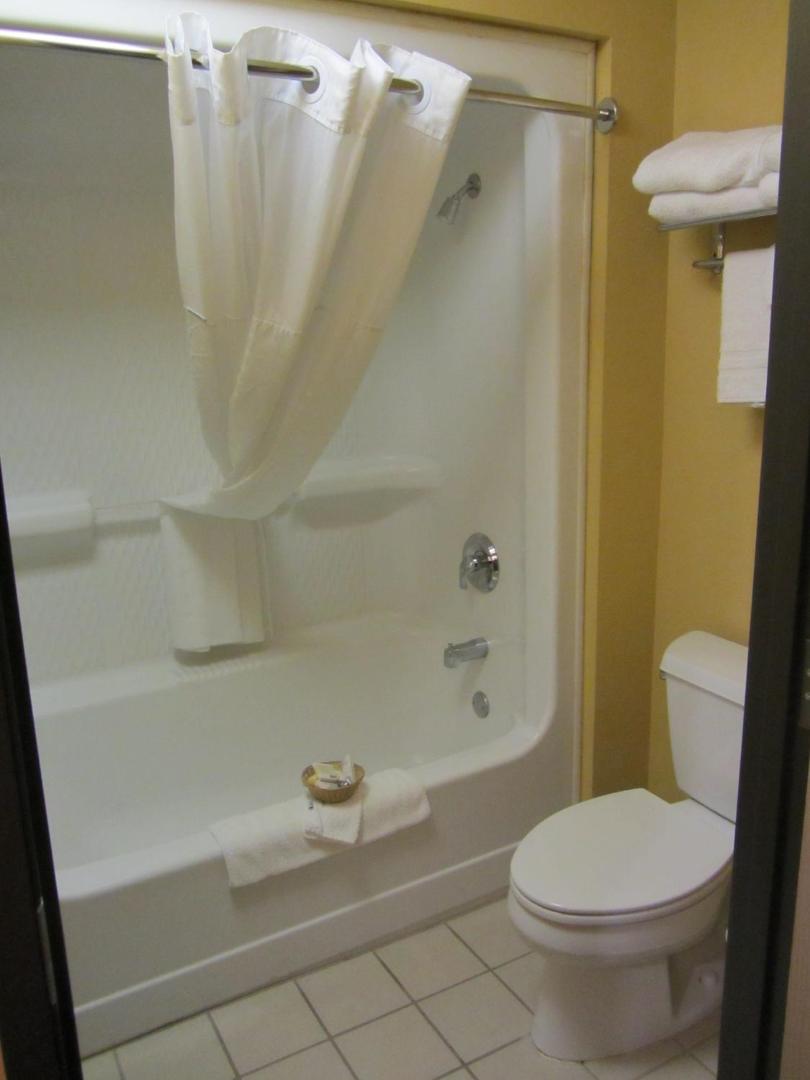 Microtel Inn & Suites by Wyndham Amarillo