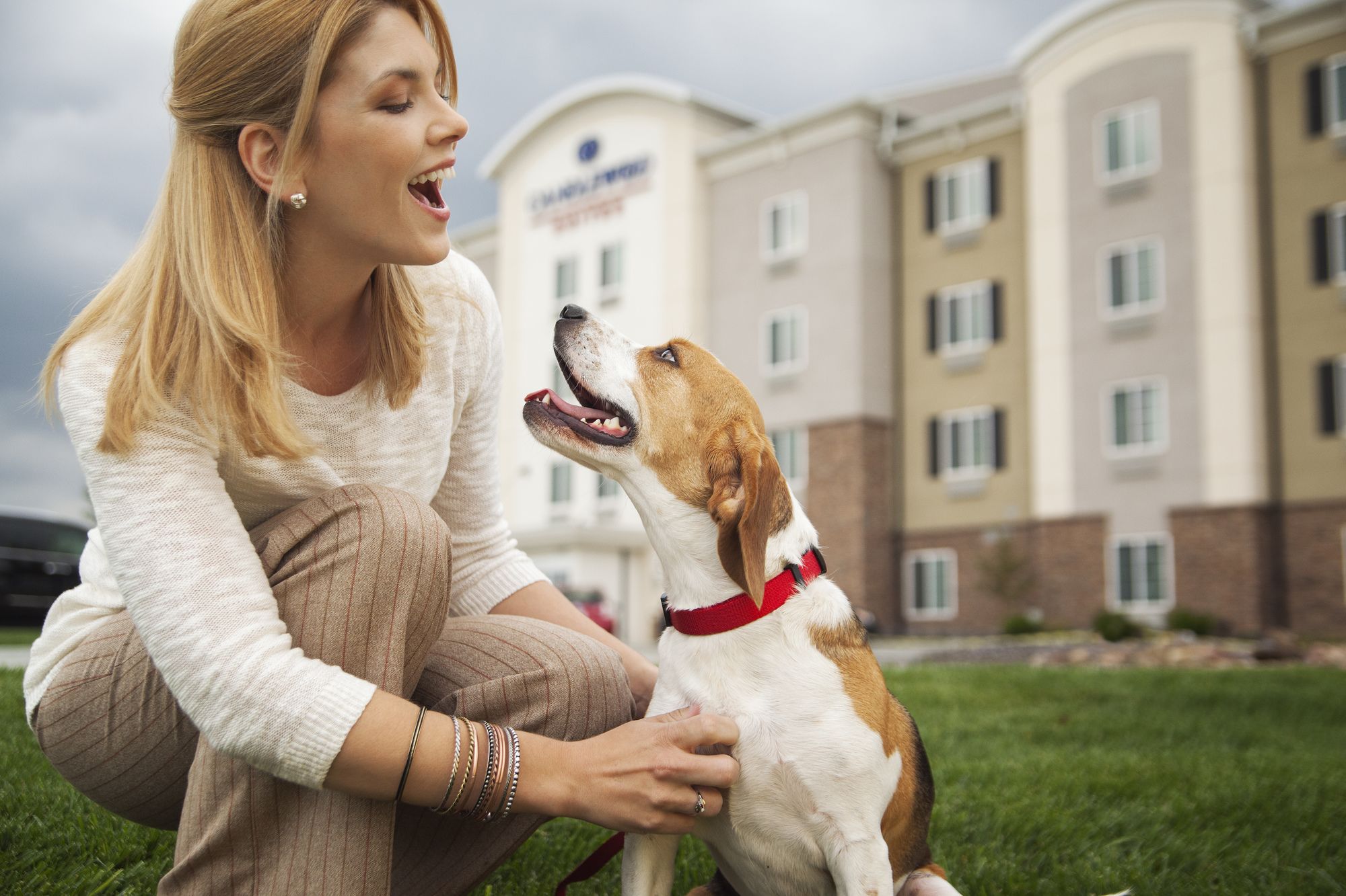 Sonesta Simply Suites Arlington