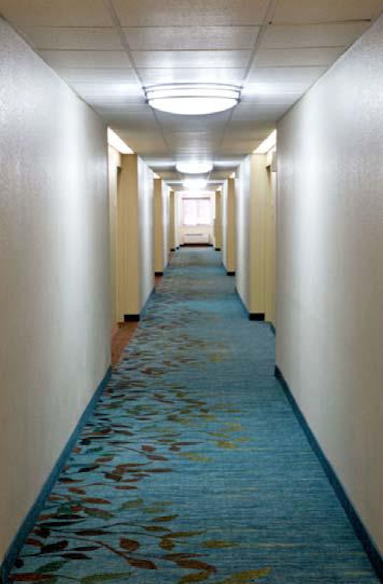 Sonesta Simply Suites Arlington