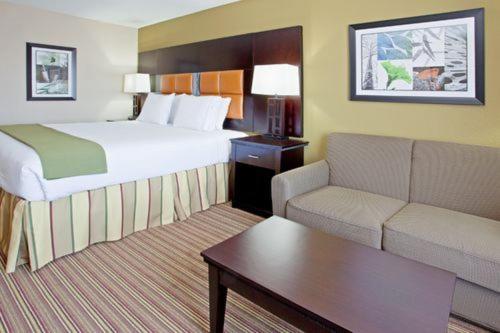 Holiday Inn Express & Suites Arlington (I-20-Parks Mall)