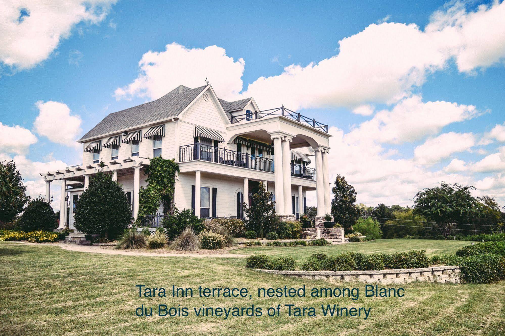 Tara Vineyard & Winery