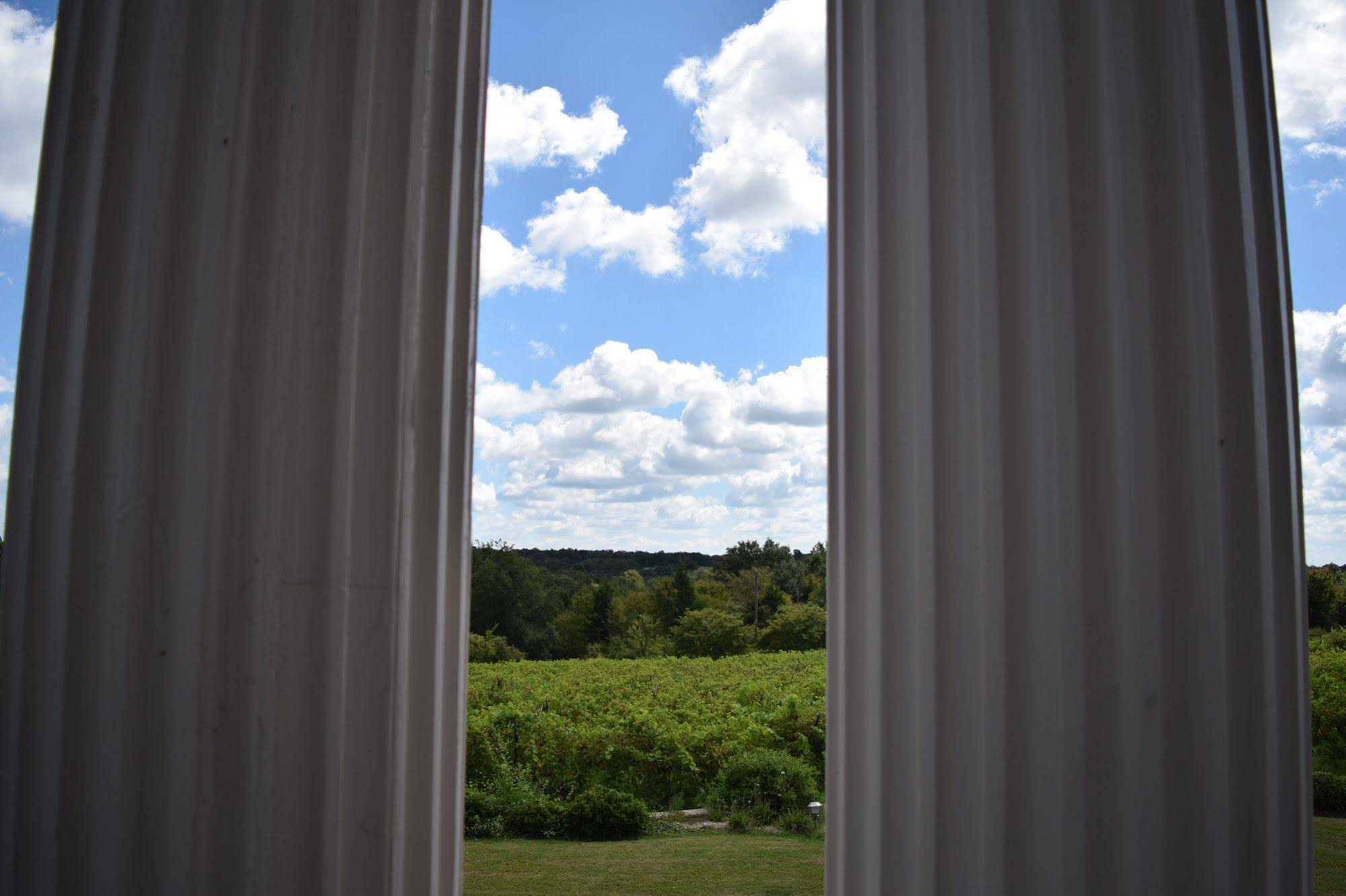 Tara Vineyard & Winery