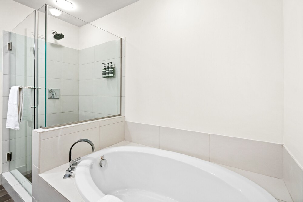 Kasa Austin Lady Bird Lake Apartments