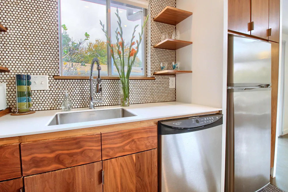Travis Heights Modern 1