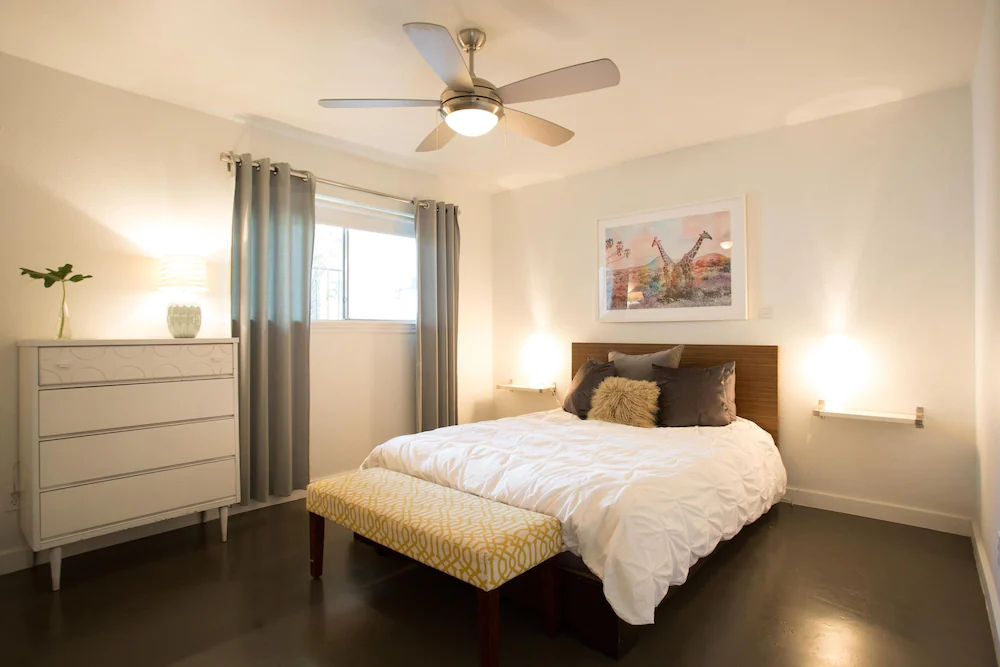 Travis Heights Modern 1