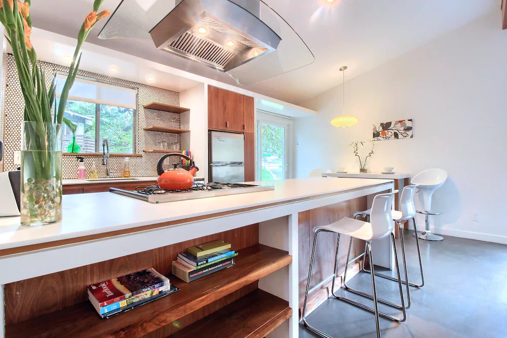 Travis Heights Modern 1
