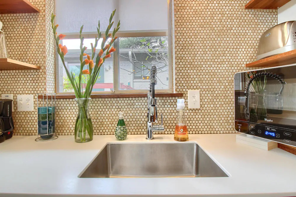 Travis Heights Modern 1