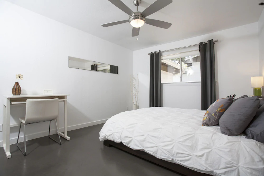 Travis Heights Modern 1